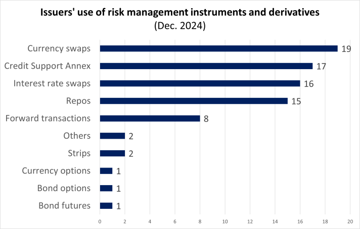 Issuers' use of risk management instruments and derivatives as of December 2024